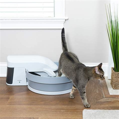 best electric cat litter box for big cats|least scary automatic litter box.